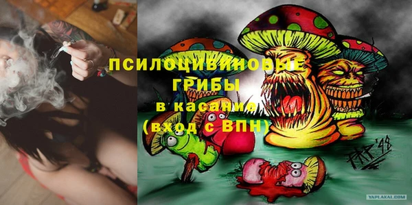 прущие крисы Алексеевка