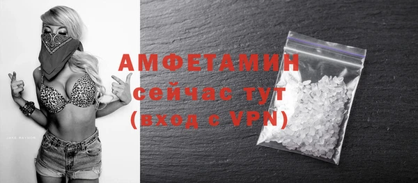 ECSTASY Алзамай