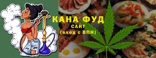 ECSTASY Алзамай