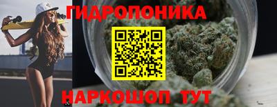 крисы Мариинск