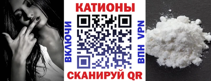 как найти   Геленджик  МЯУ-МЯУ мяу мяу 