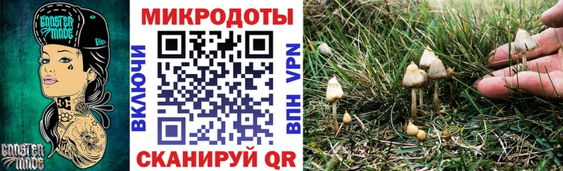 Галлюциногенные грибы мицелий  kraken как зайти  Геленджик 