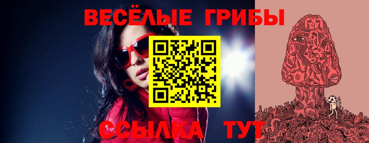 Псилоцибиновые грибы GOLDEN TEACHER Геленджик