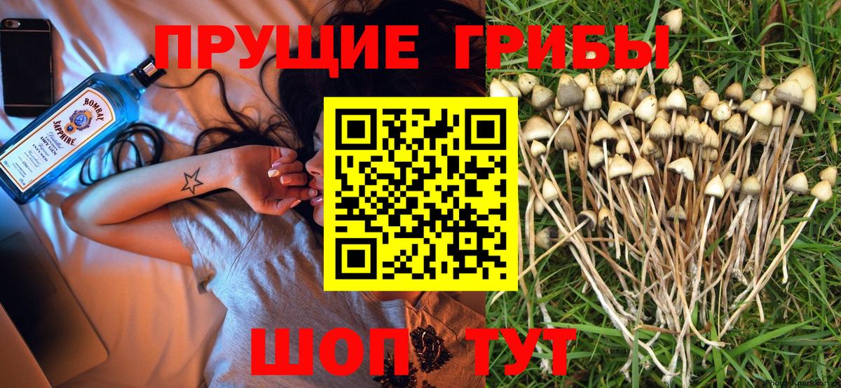 Галлюциногенные грибы Cubensis  Вход с VPN  Геленджик 