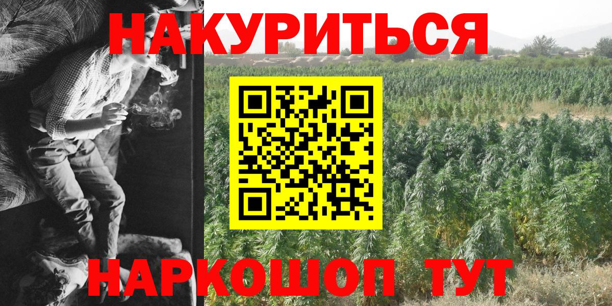 Конопля Bruce Banner  МАРИХУАНА THC 21%  Геленджик  Вход с VPN  Каннабис OG Kush  Канабис конопля 